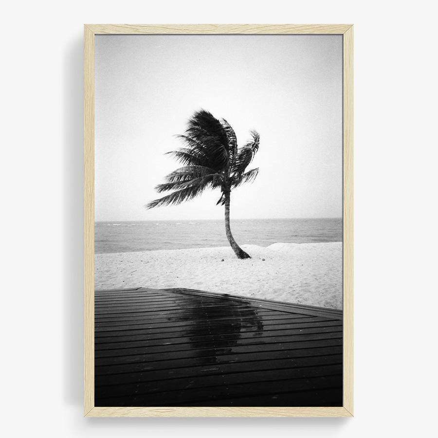Photography by Isaac Zoller