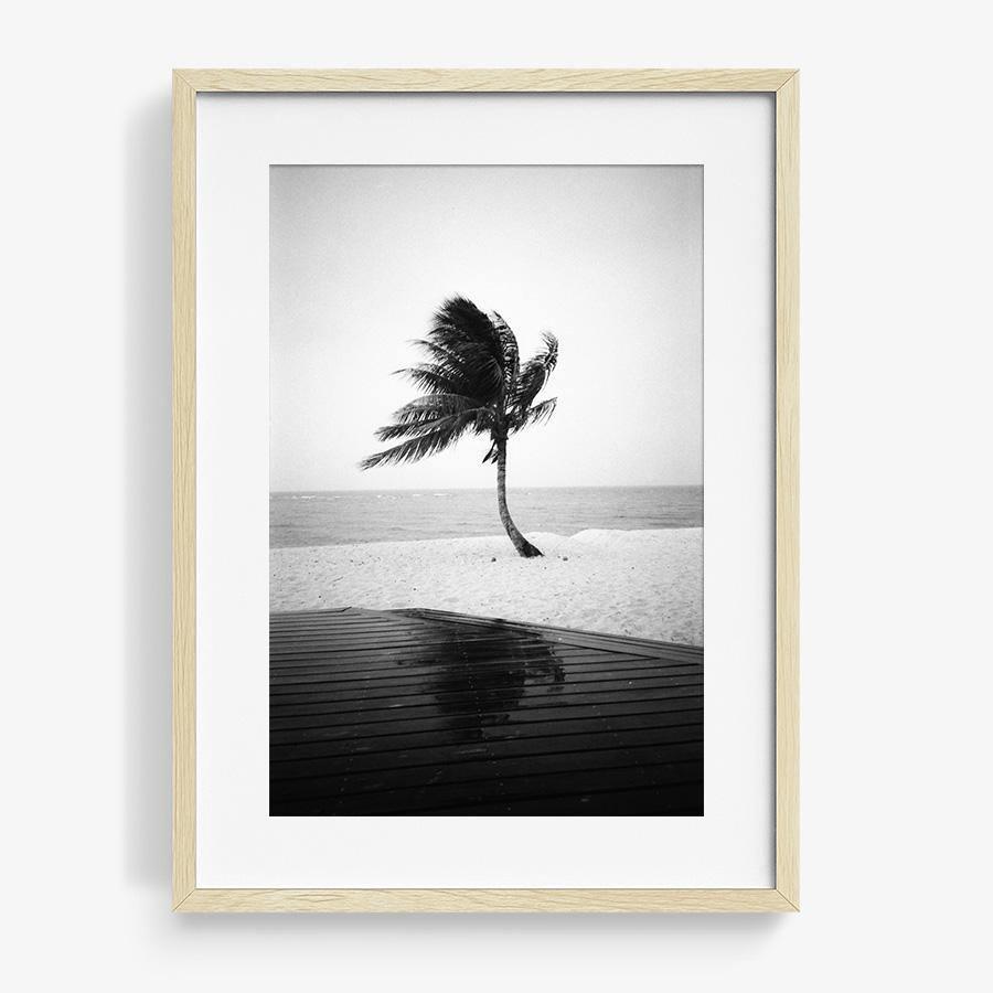 Photography by Isaac Zoller