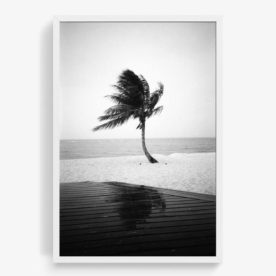 Photography by Isaac Zoller