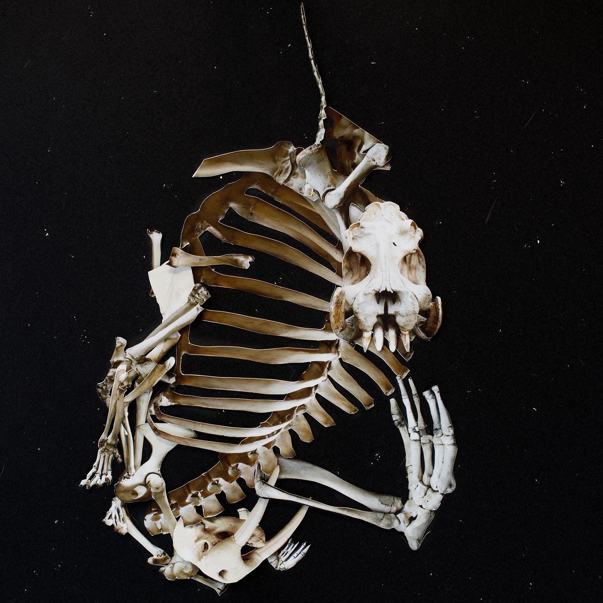 Photograph by Ilka Kramer