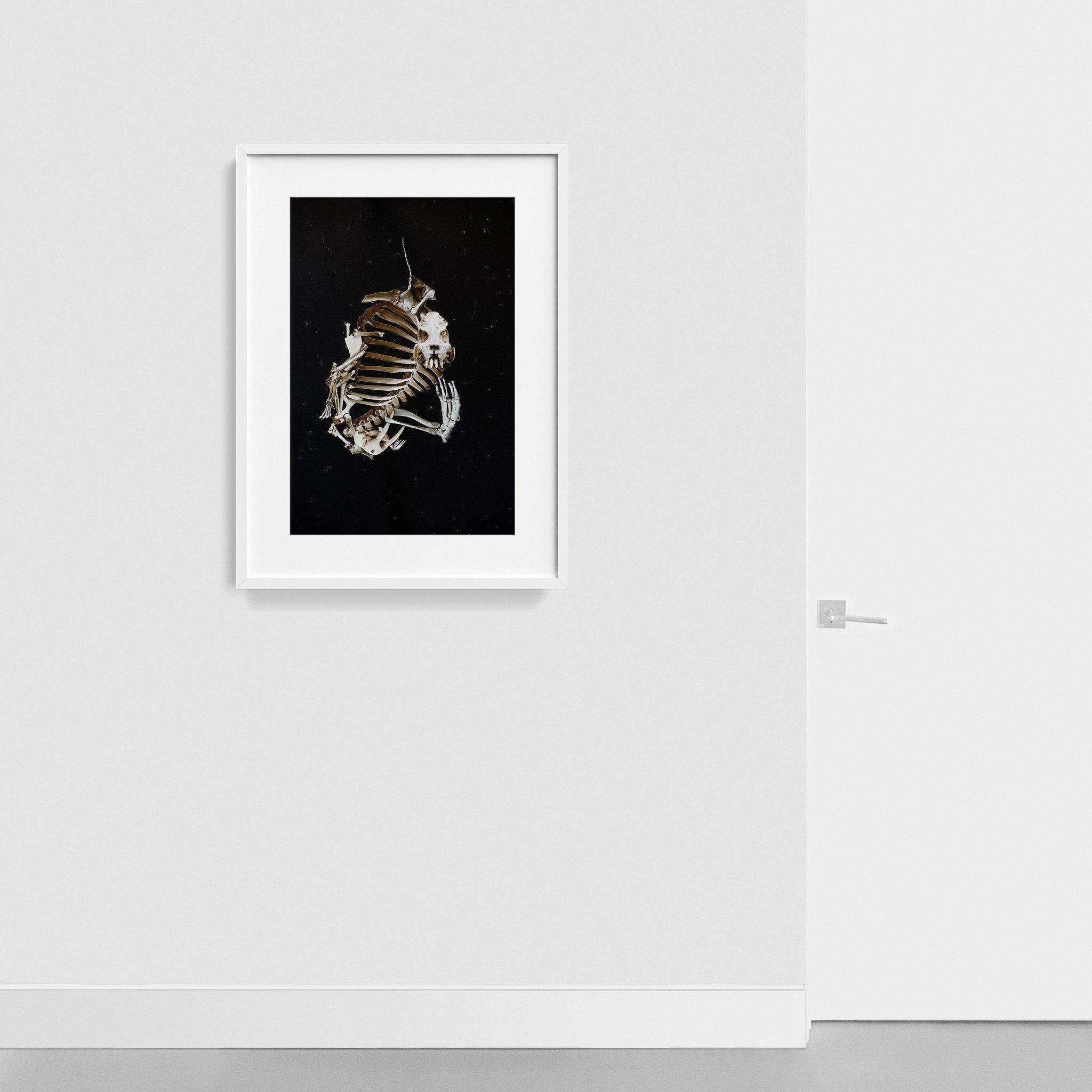 Photograph by Ilka Kramer