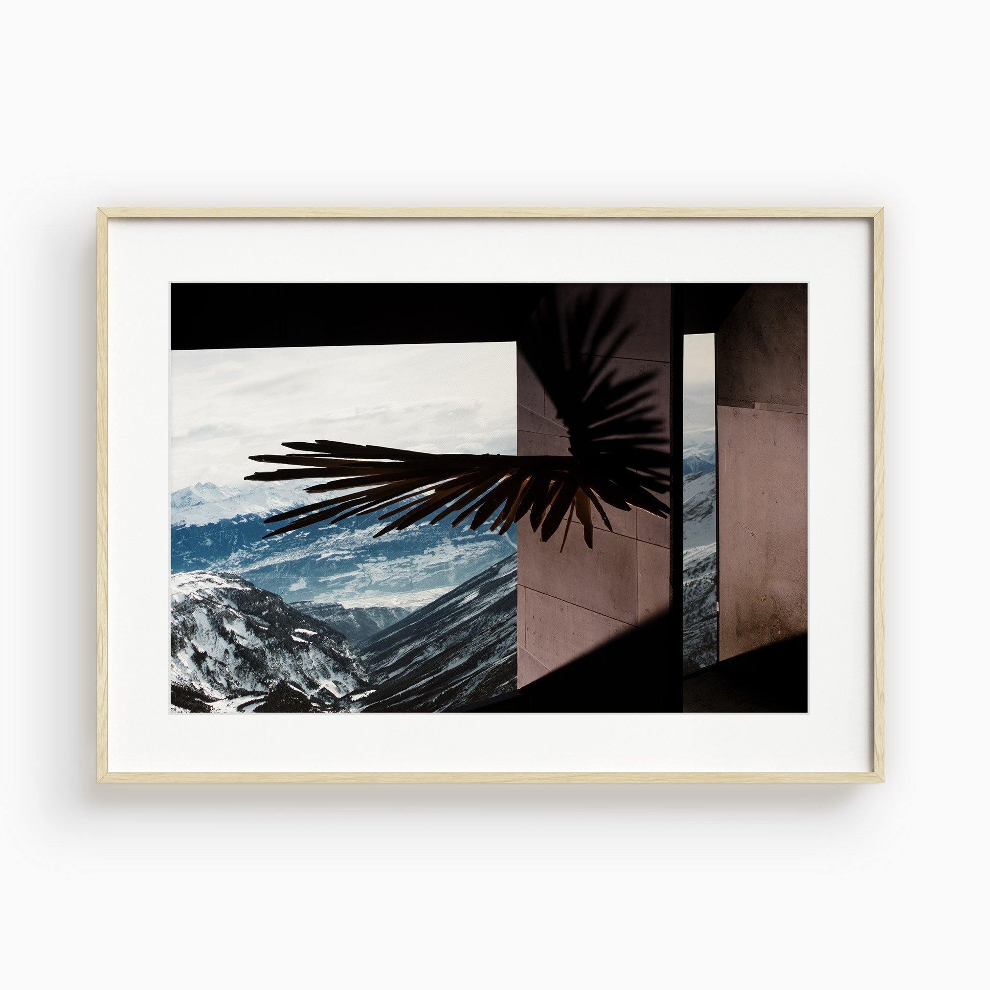 Photograph by Ilka Kramer