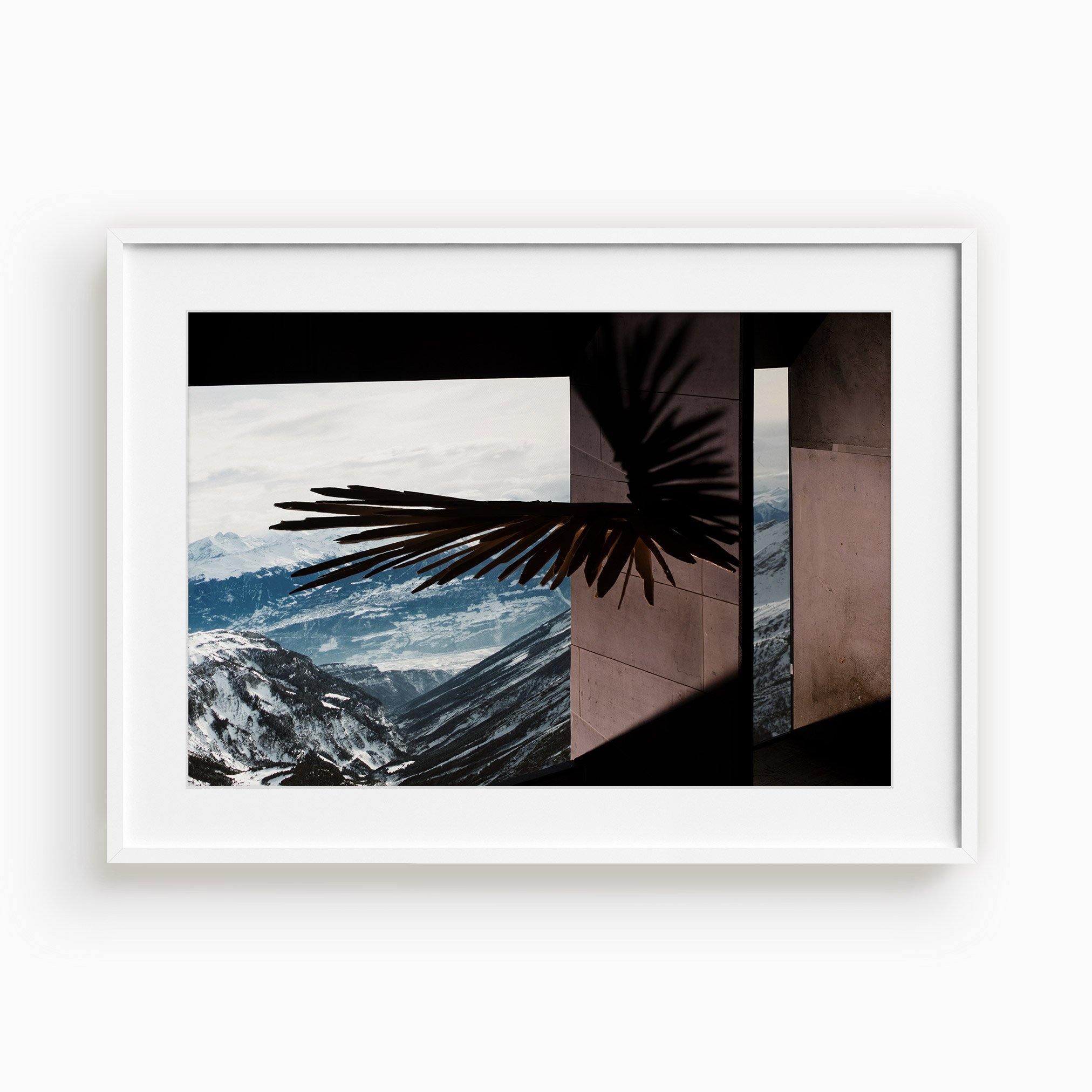 Photograph by Ilka Kramer
