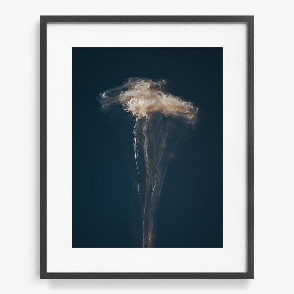 Photograph by Jan Prengel