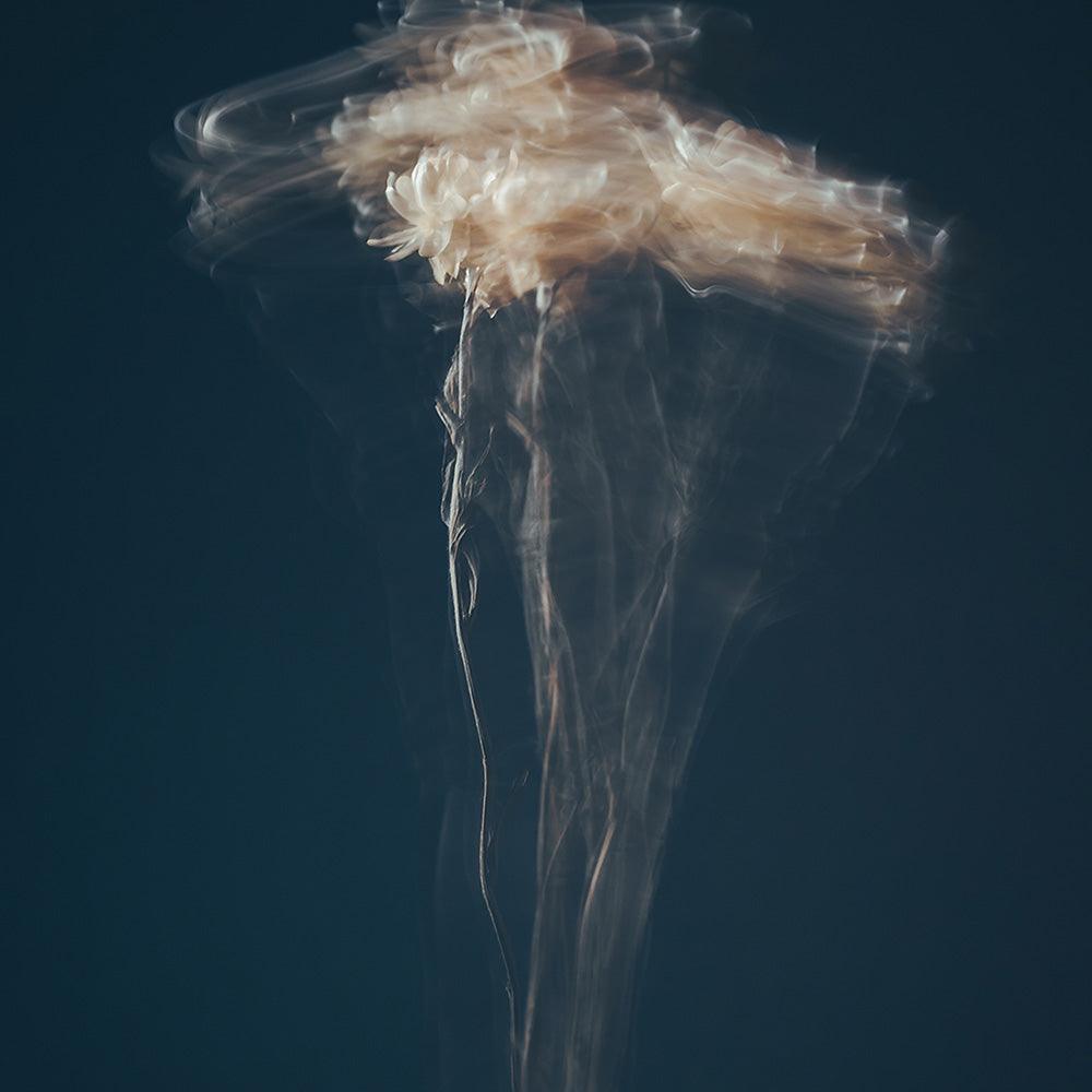 Photograph by Jan Prengel
