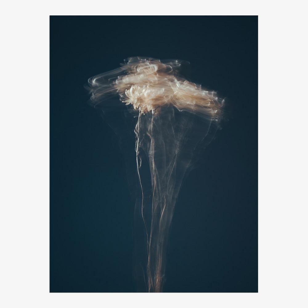 Photograph by Jan Prengel