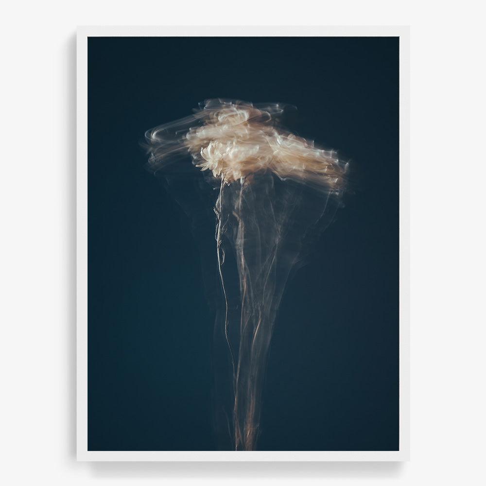 Photograph by Jan Prengel