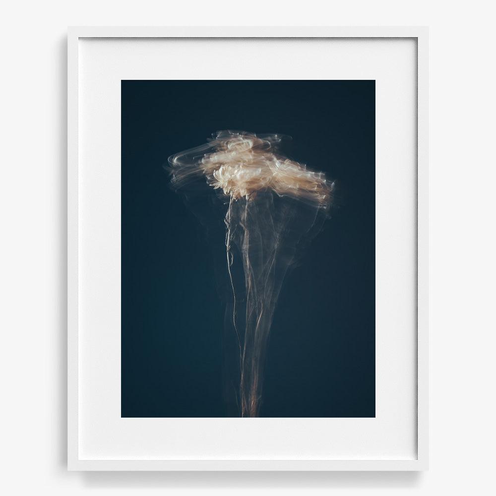 Photograph by Jan Prengel