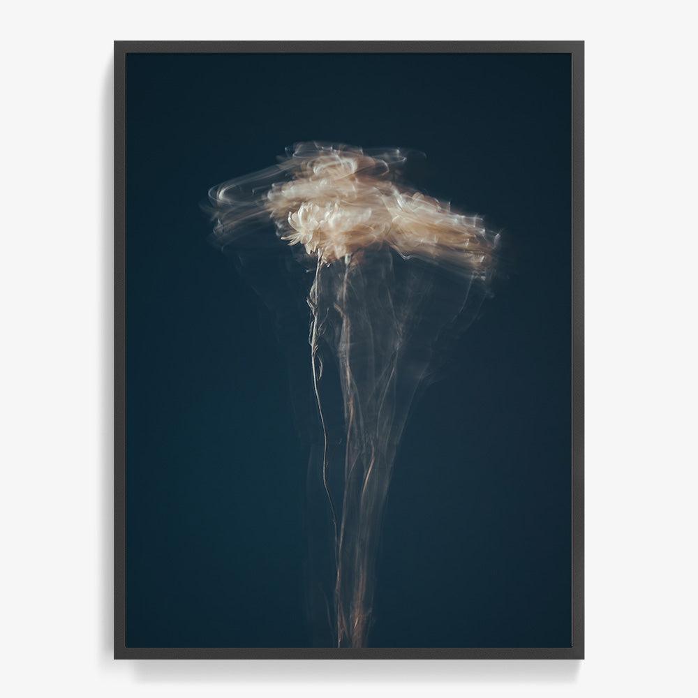 Photograph by Jan Prengel