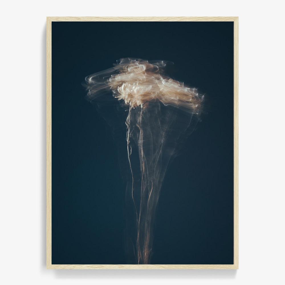 Photograph by Jan Prengel