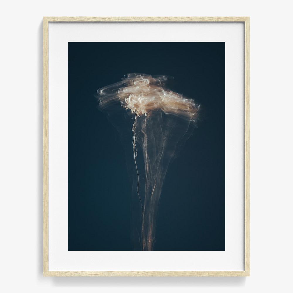 Photograph by Jan Prengel