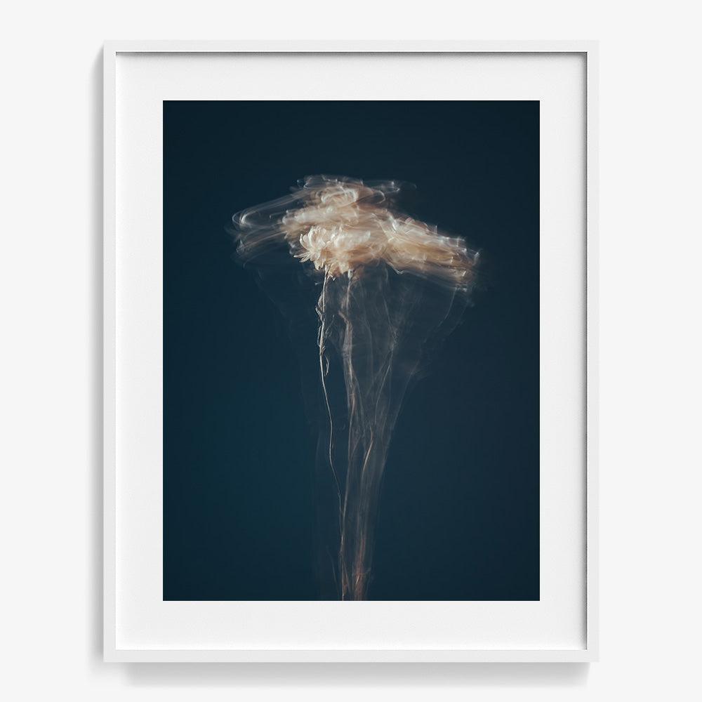 Photograph by Jan Prengel