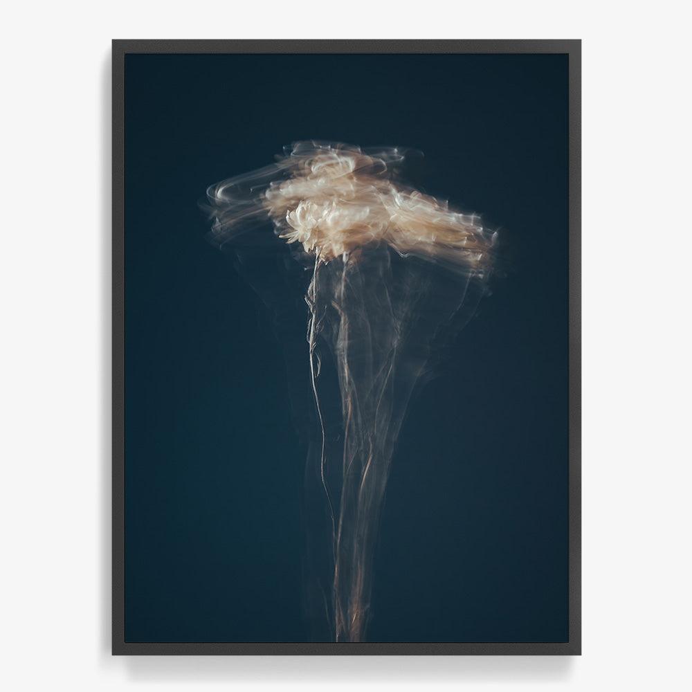 Photograph by Jan Prengel