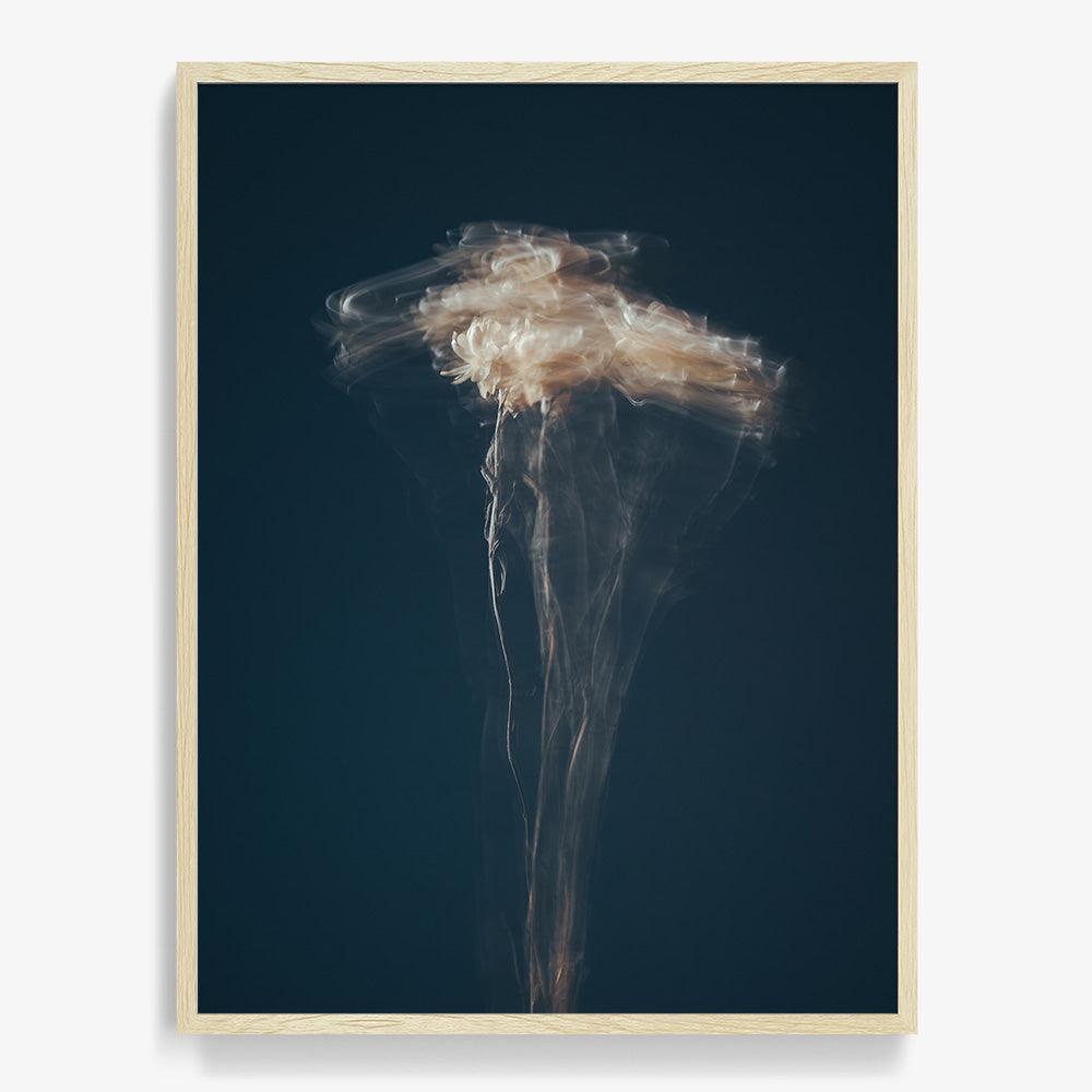 Photograph by Jan Prengel