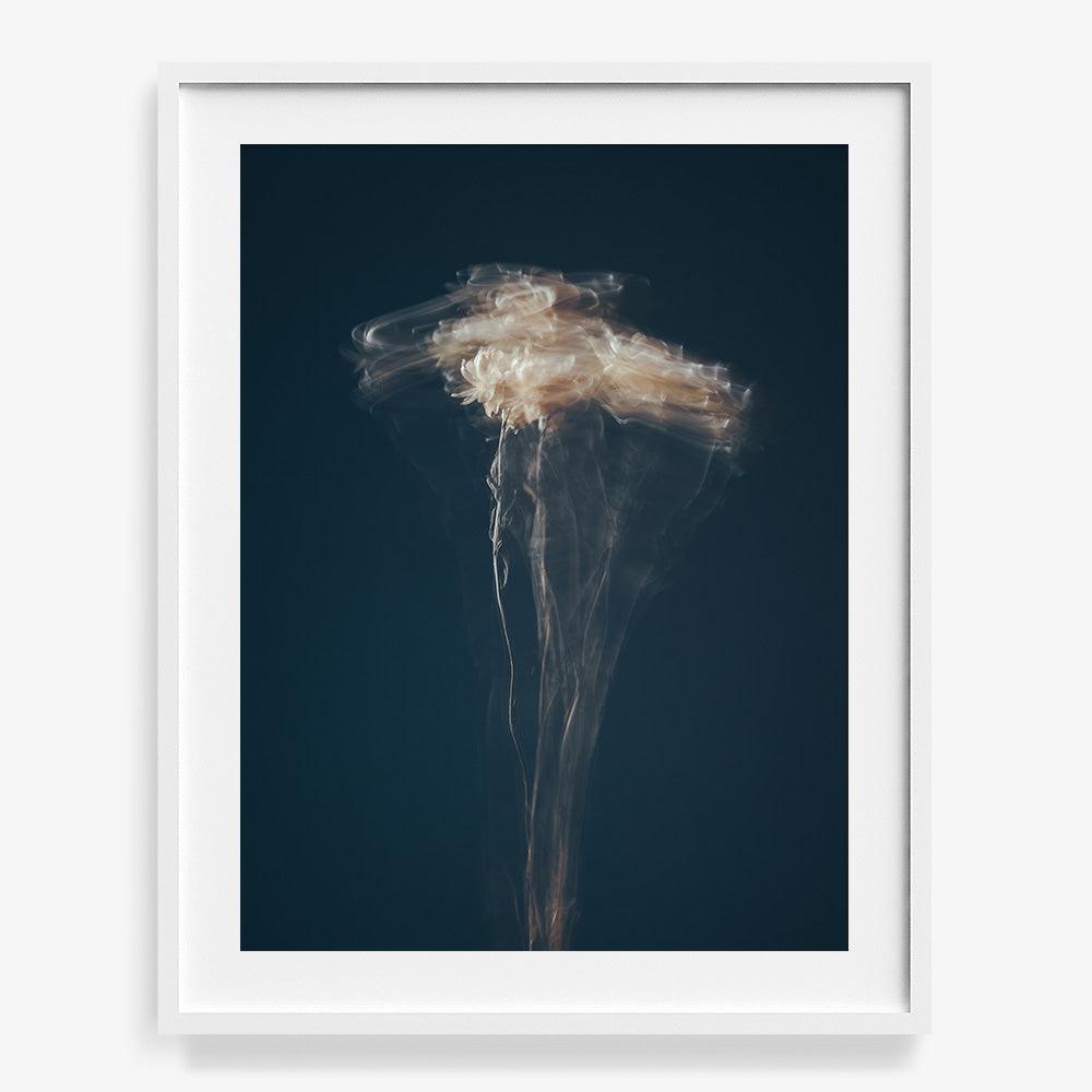 Photograph by Jan Prengel