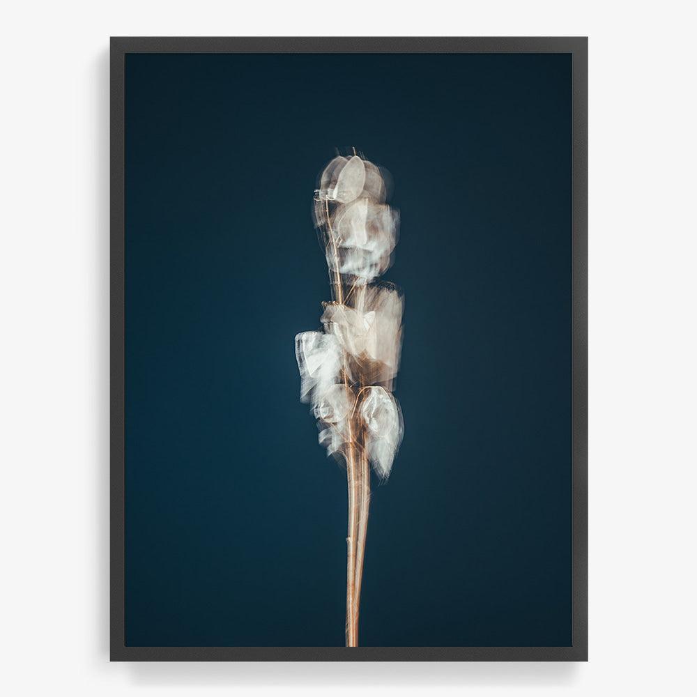 Photograph by Jan Prengel