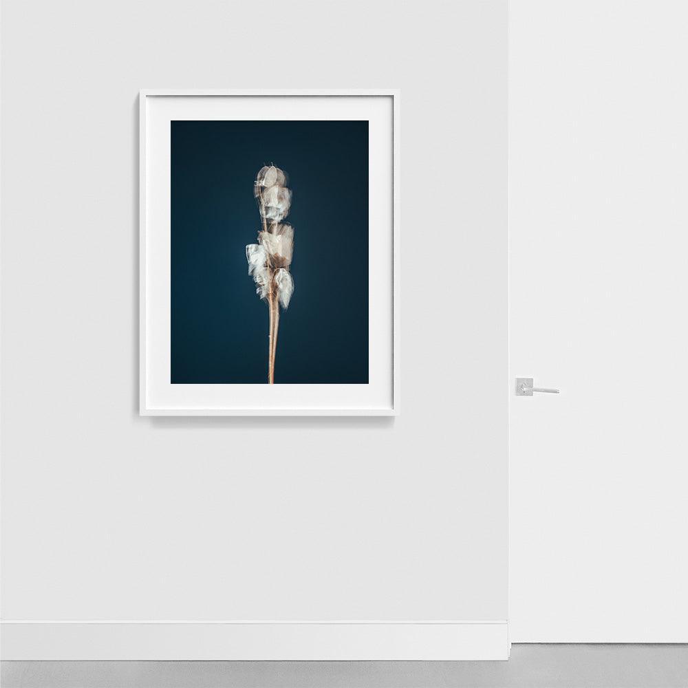 Photograph by Jan Prengel