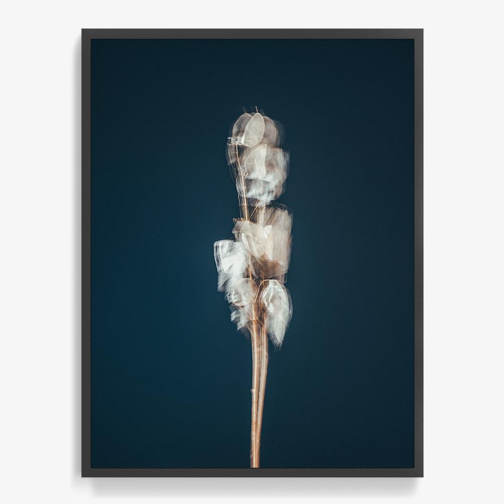 Photograph by Jan Prengel