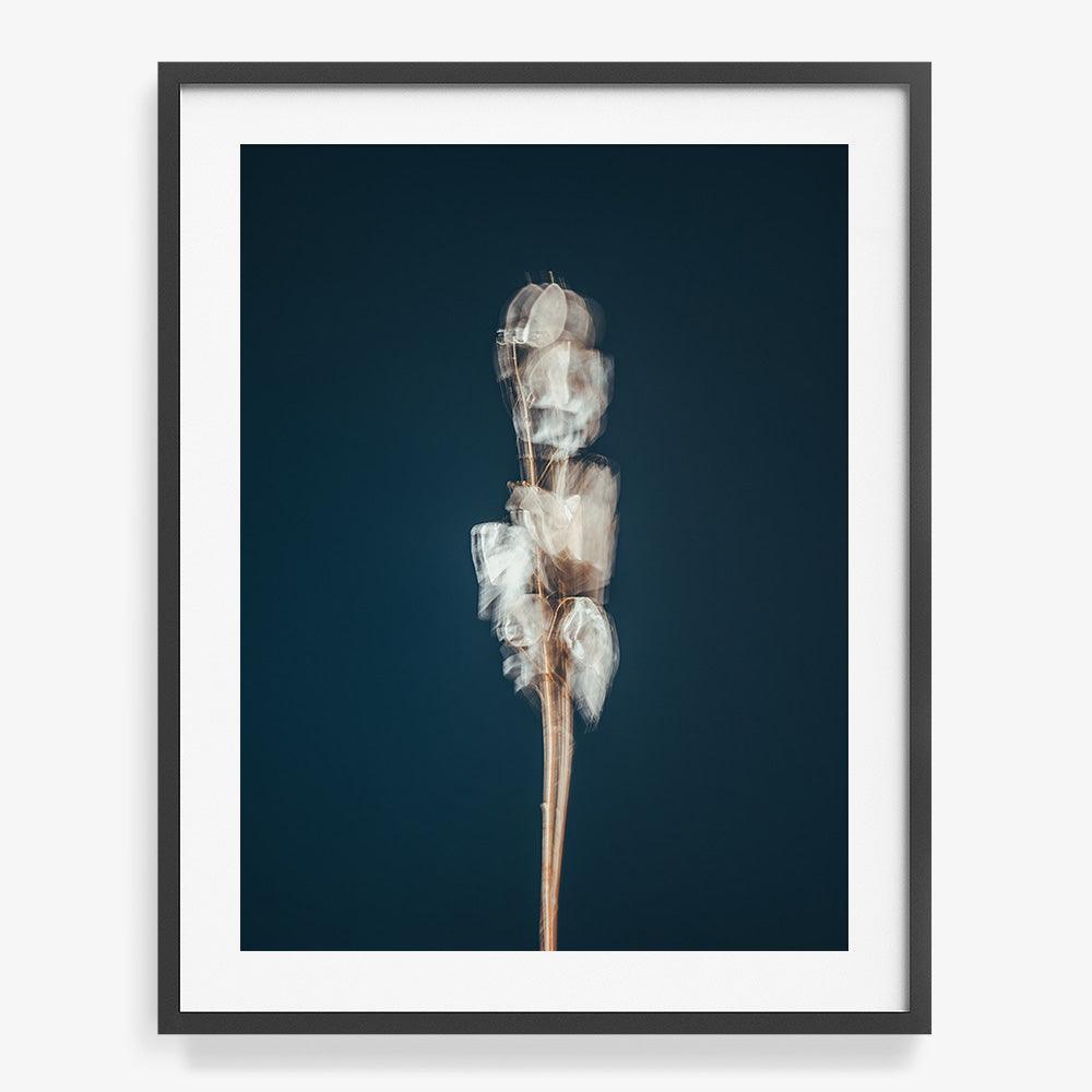 Photograph by Jan Prengel