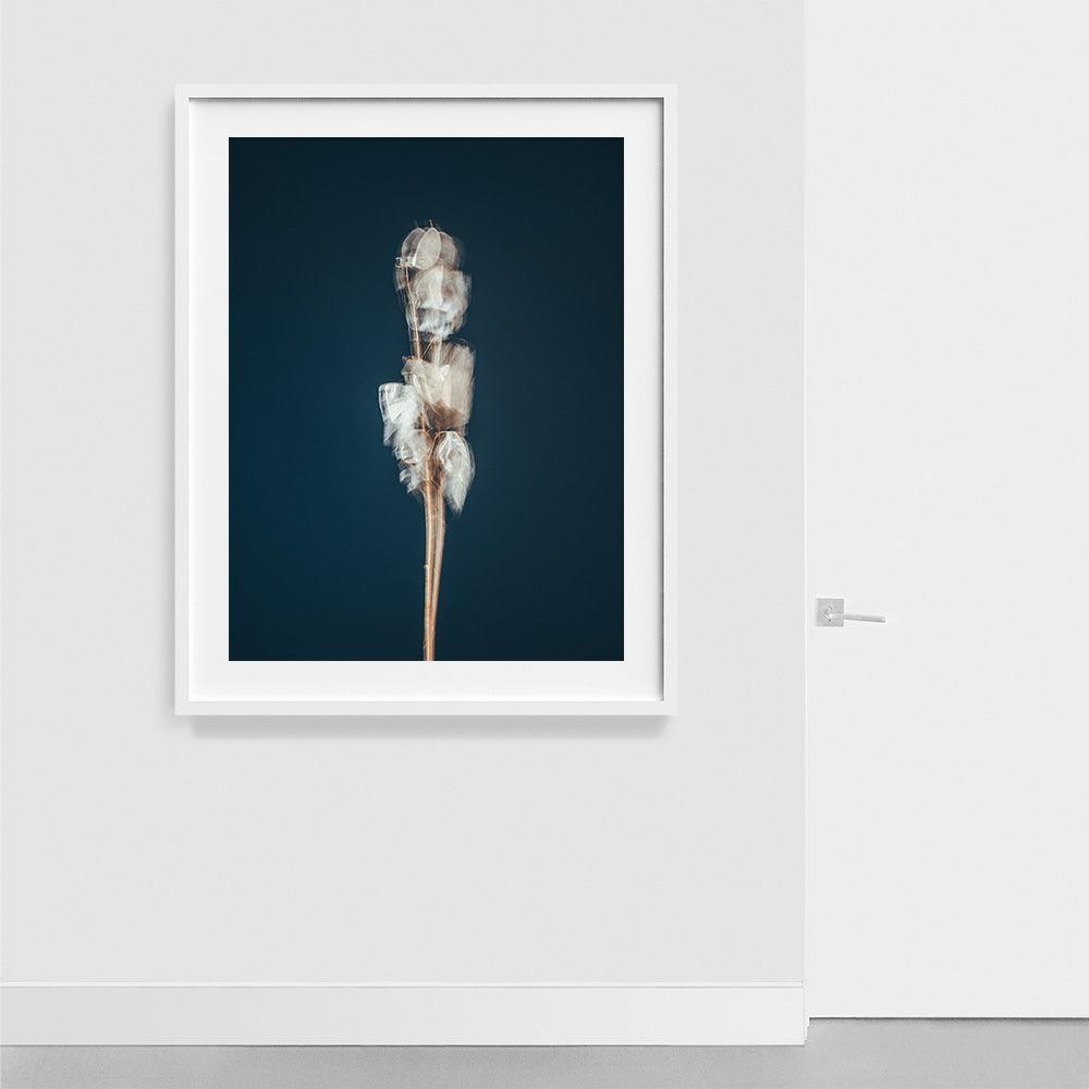In Search Of The Present 04 , Photograph by In Search Of The Present 04 Tappan