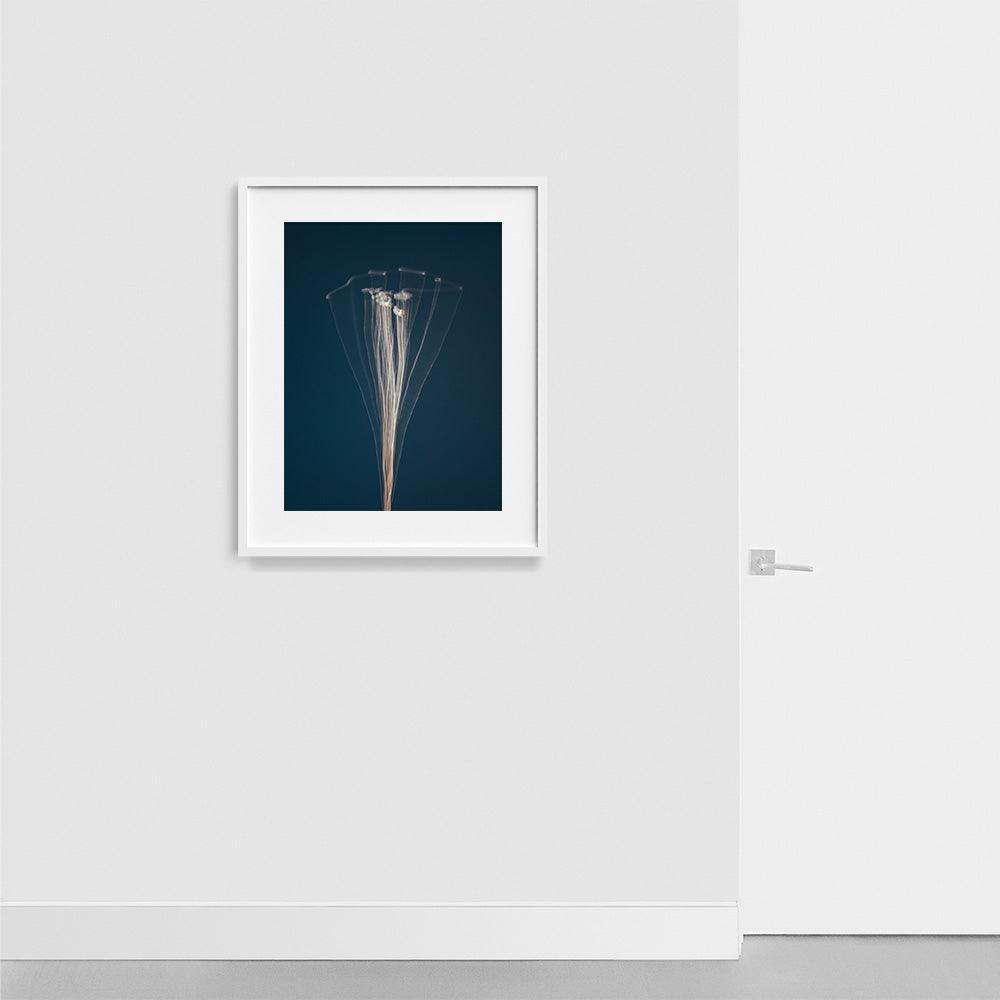 Photograph by Jan Prengel