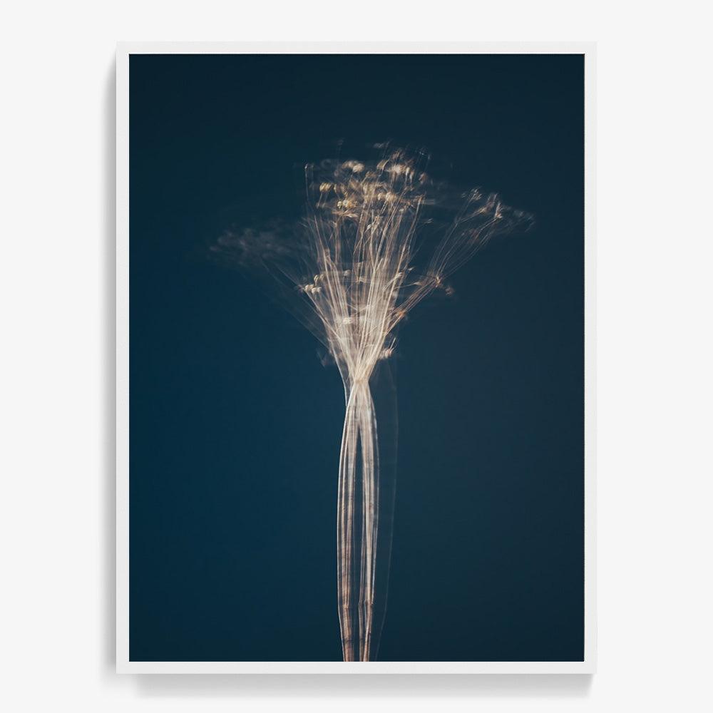 Photograph by Jan Prengel