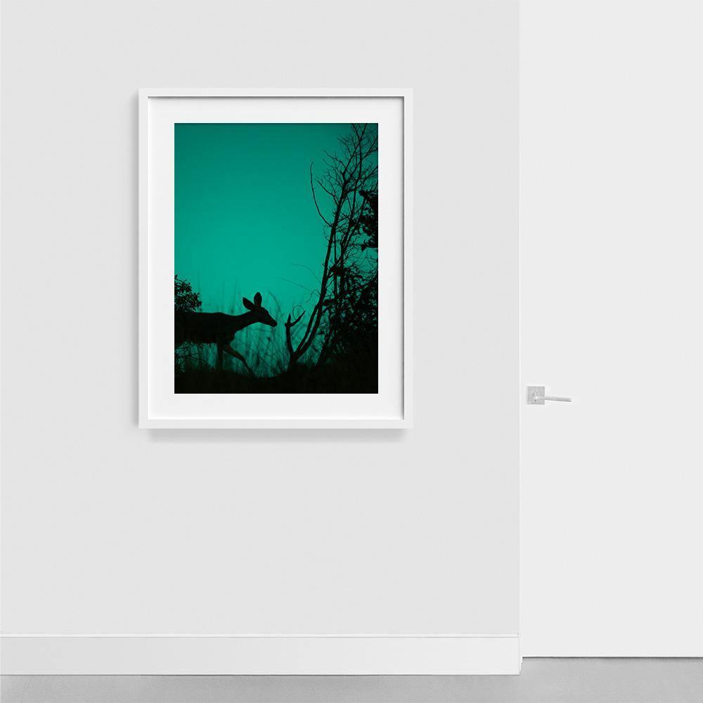 Photograph by Neil Kryszak