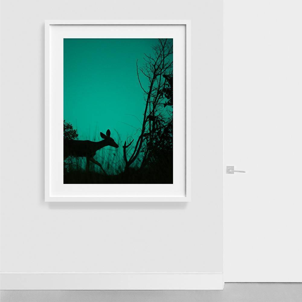 Photograph by Neil Kryszak