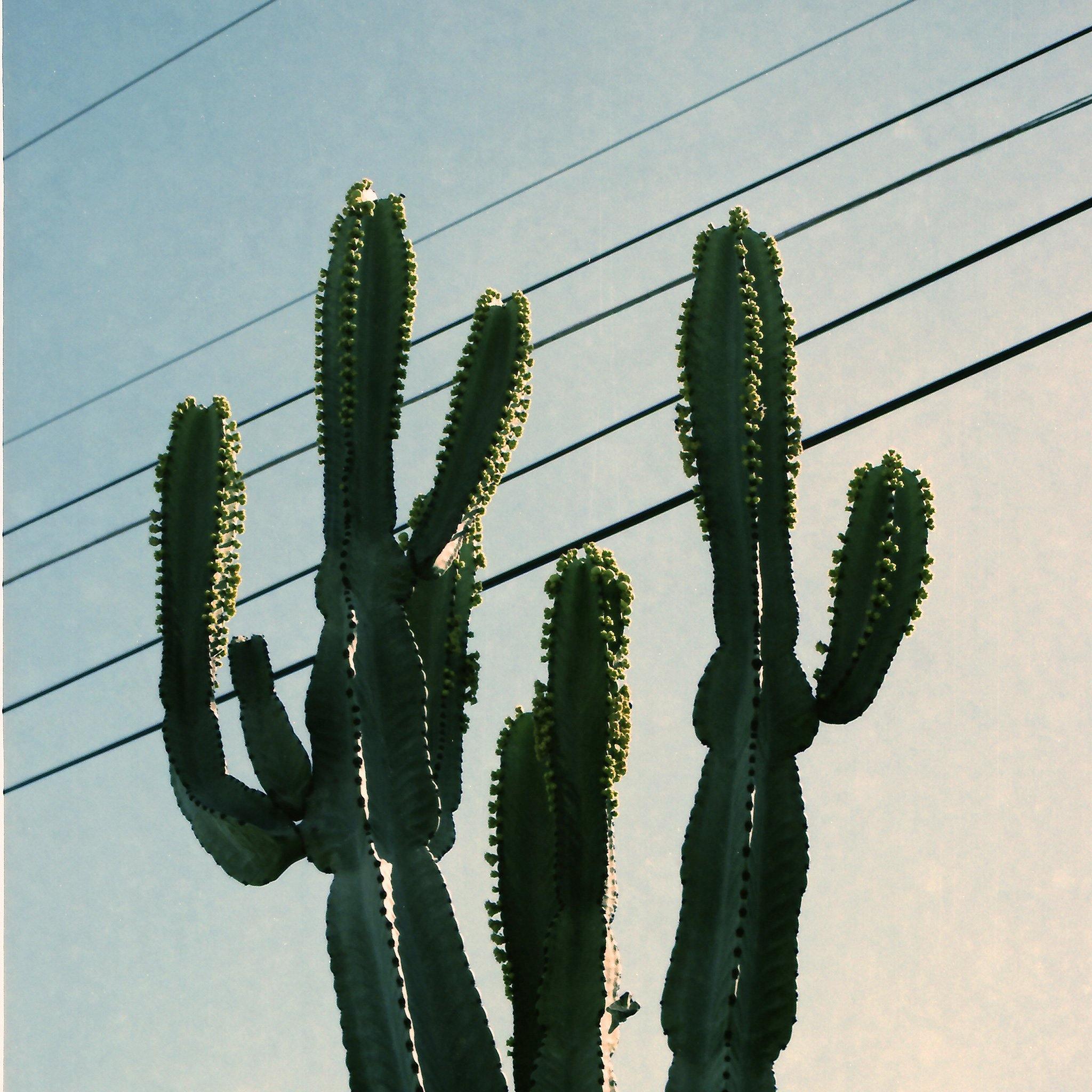 Photography by Isaac Zoller