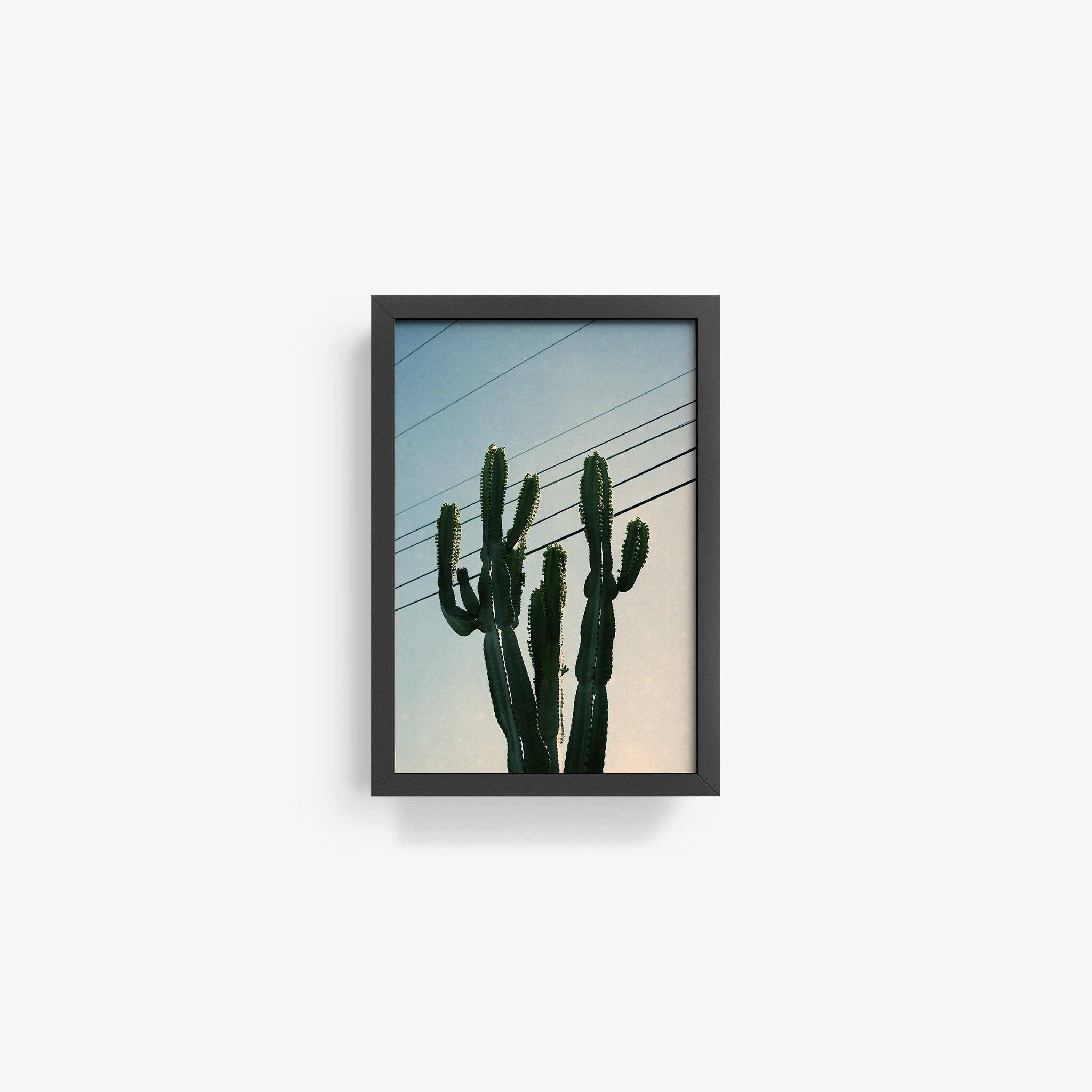 Photography by Isaac Zoller