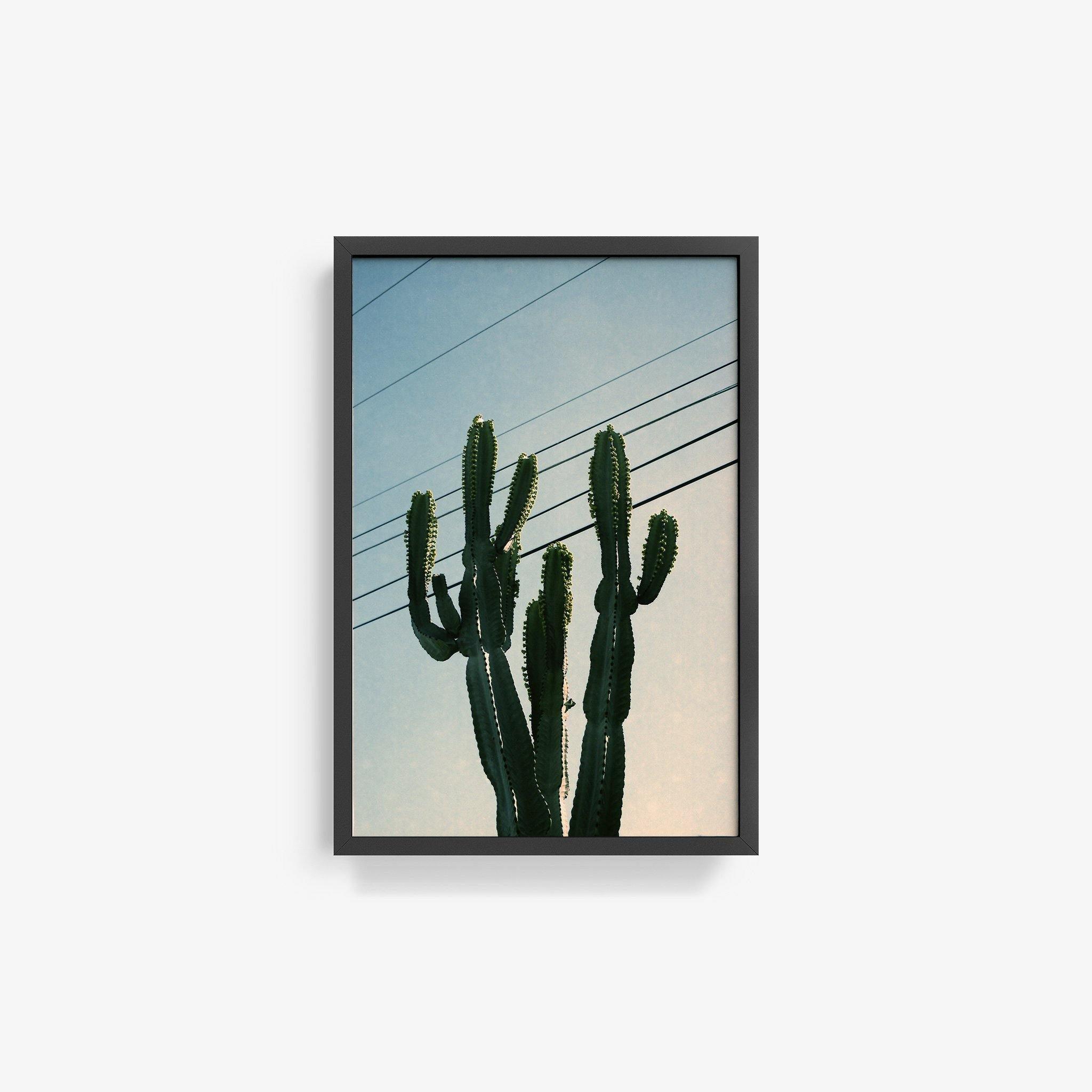 Photography by Isaac Zoller