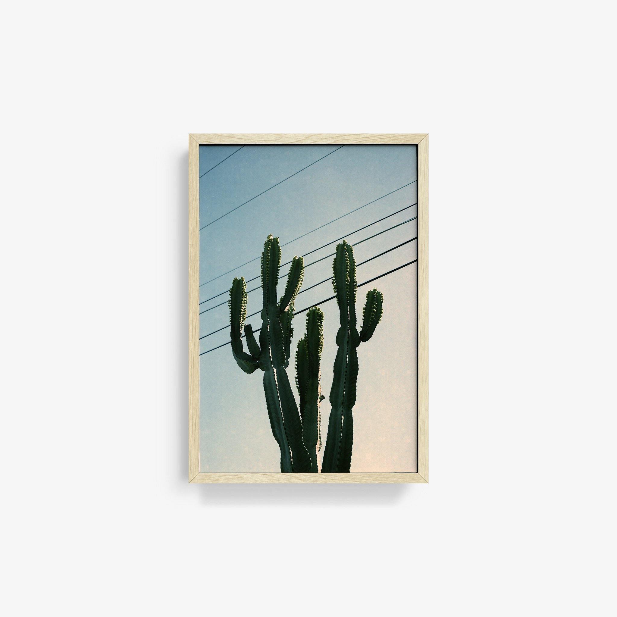 Photography by Isaac Zoller