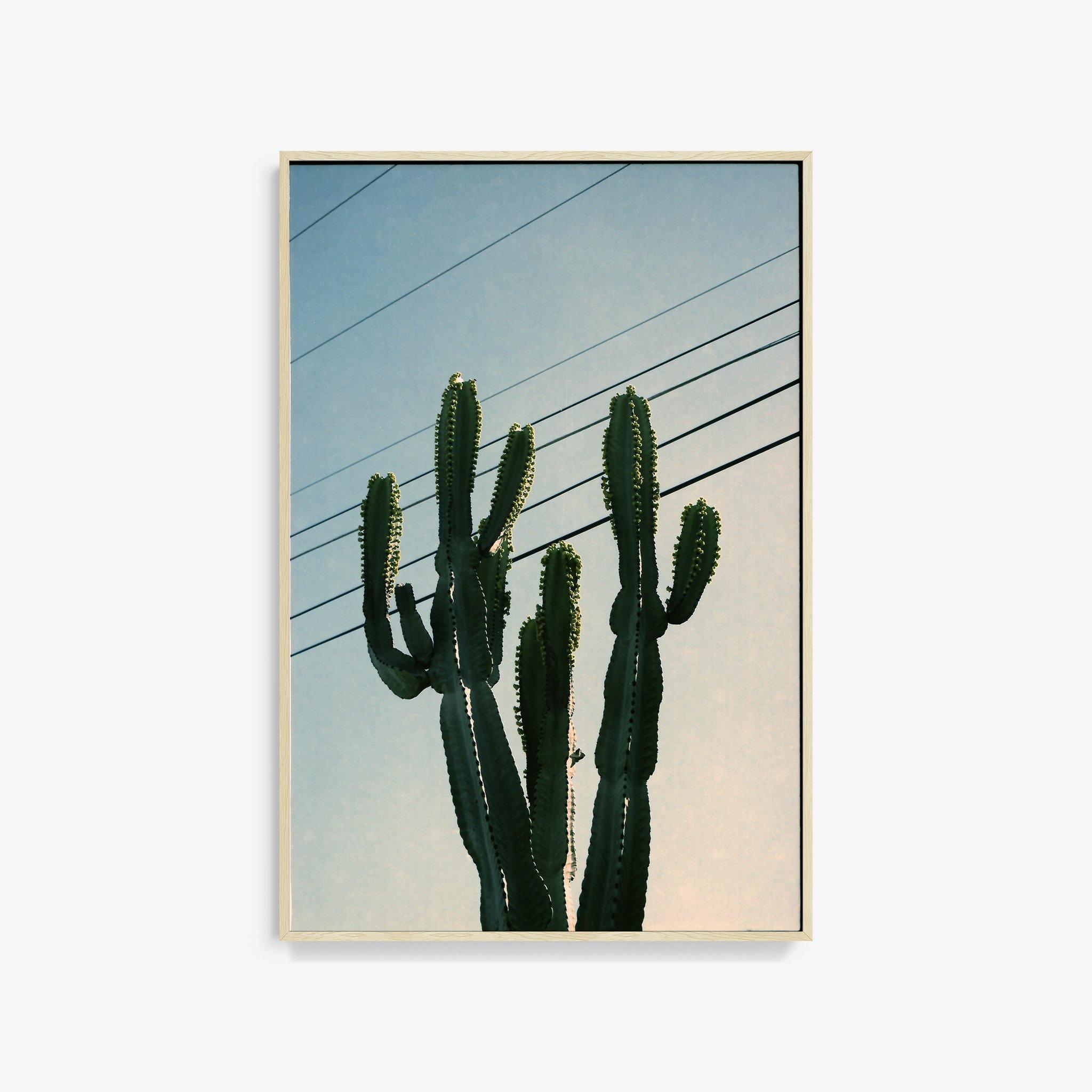 Photography by Isaac Zoller