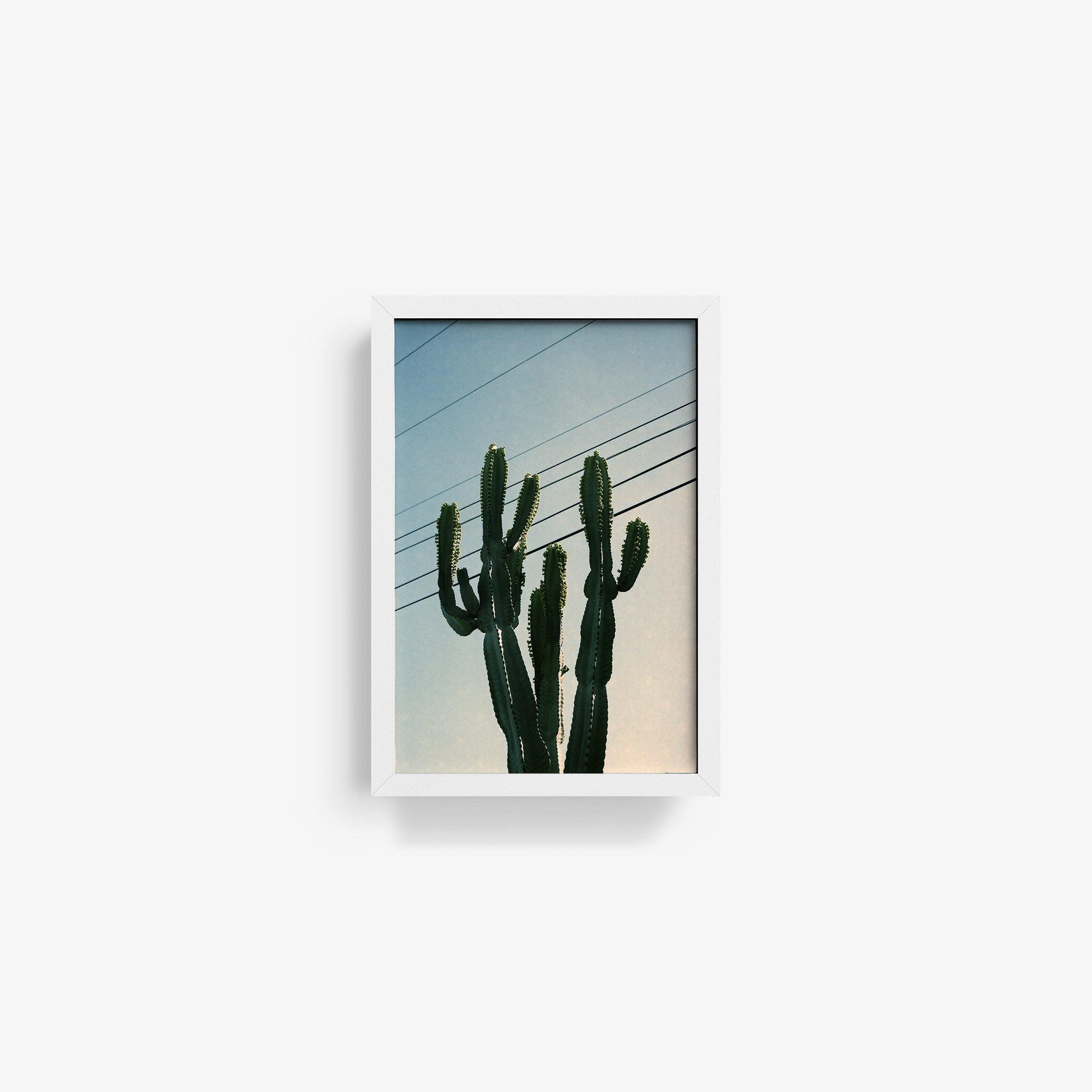 Photography by Isaac Zoller