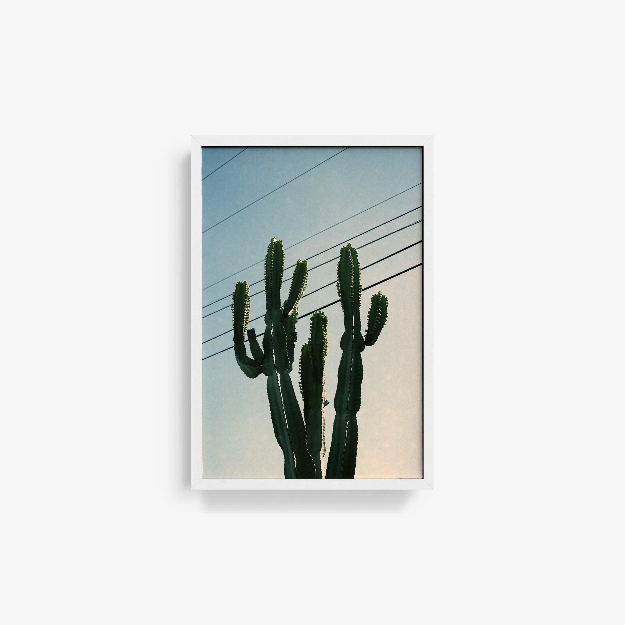 Photography by Isaac Zoller