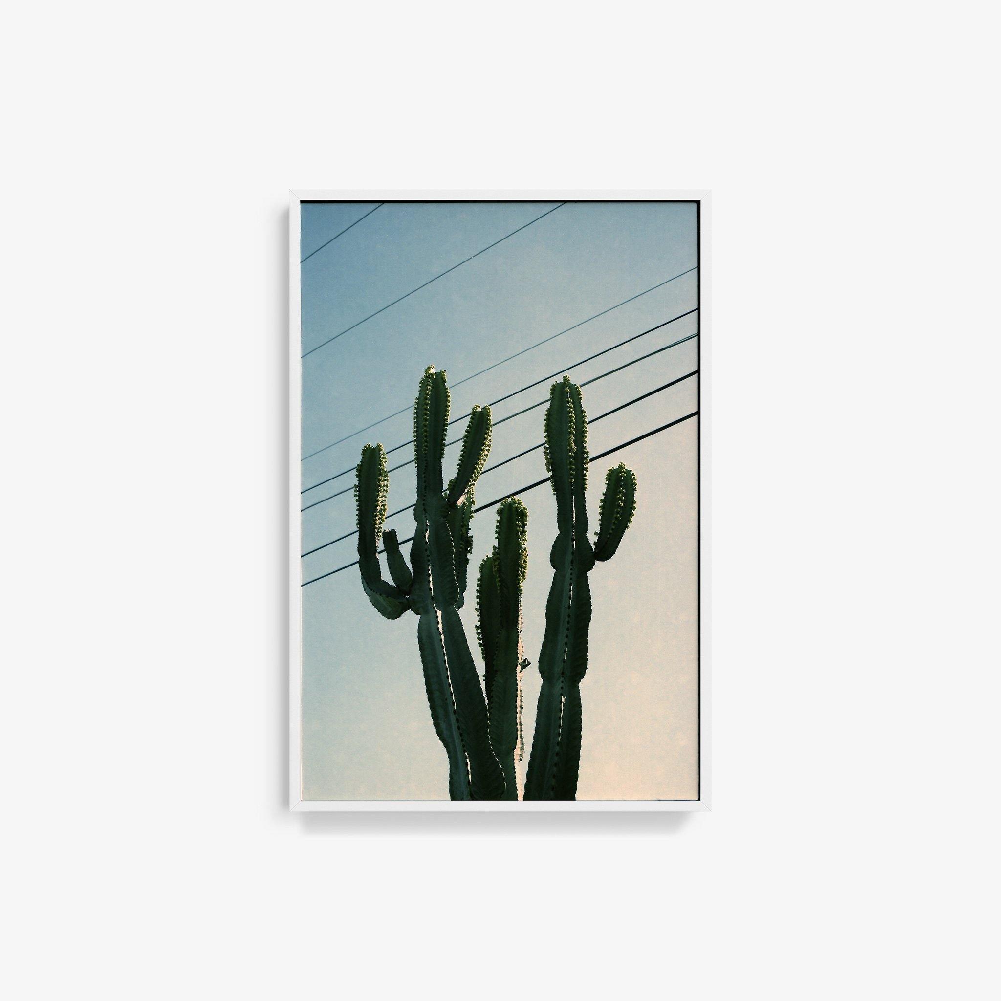 Photography by Isaac Zoller