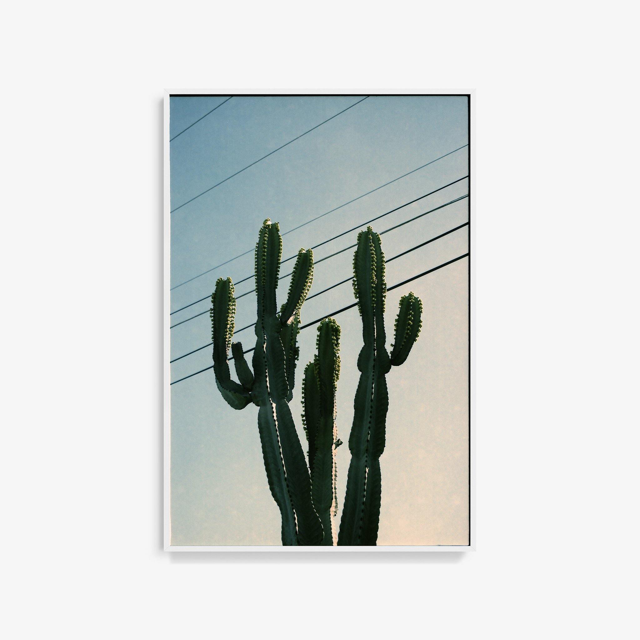 Photography by Isaac Zoller