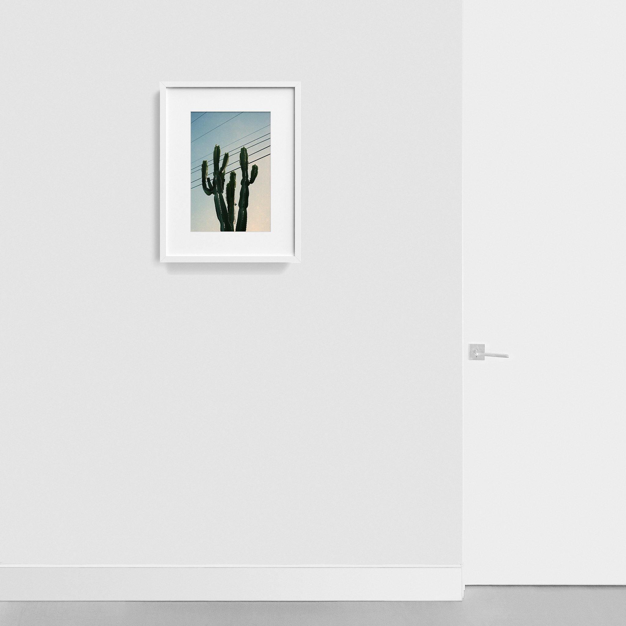 Photography by Isaac Zoller