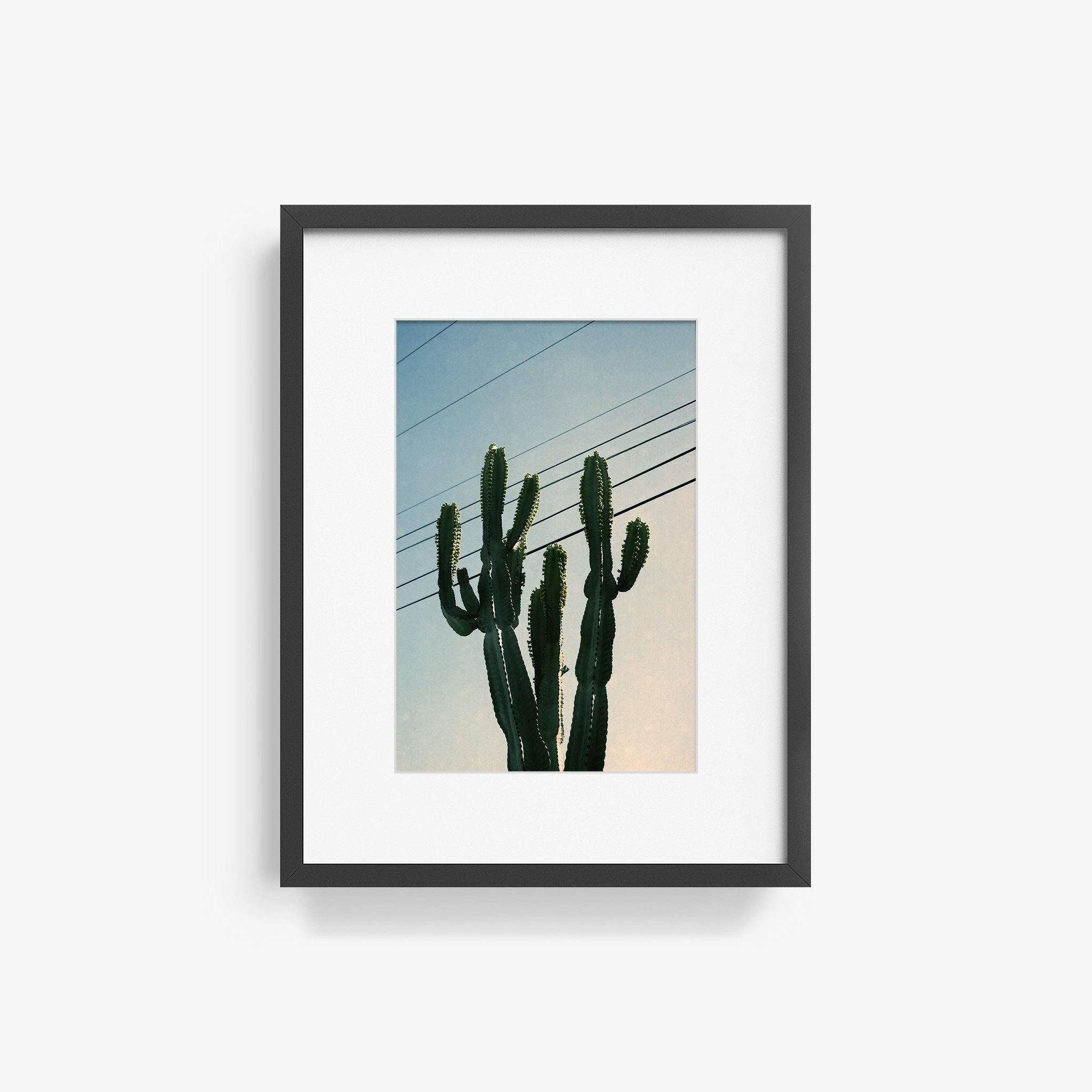 Photography by Isaac Zoller