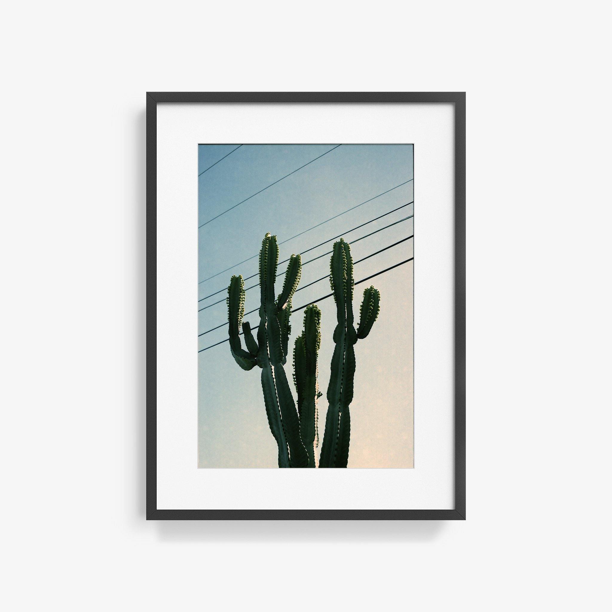 Photography by Isaac Zoller
