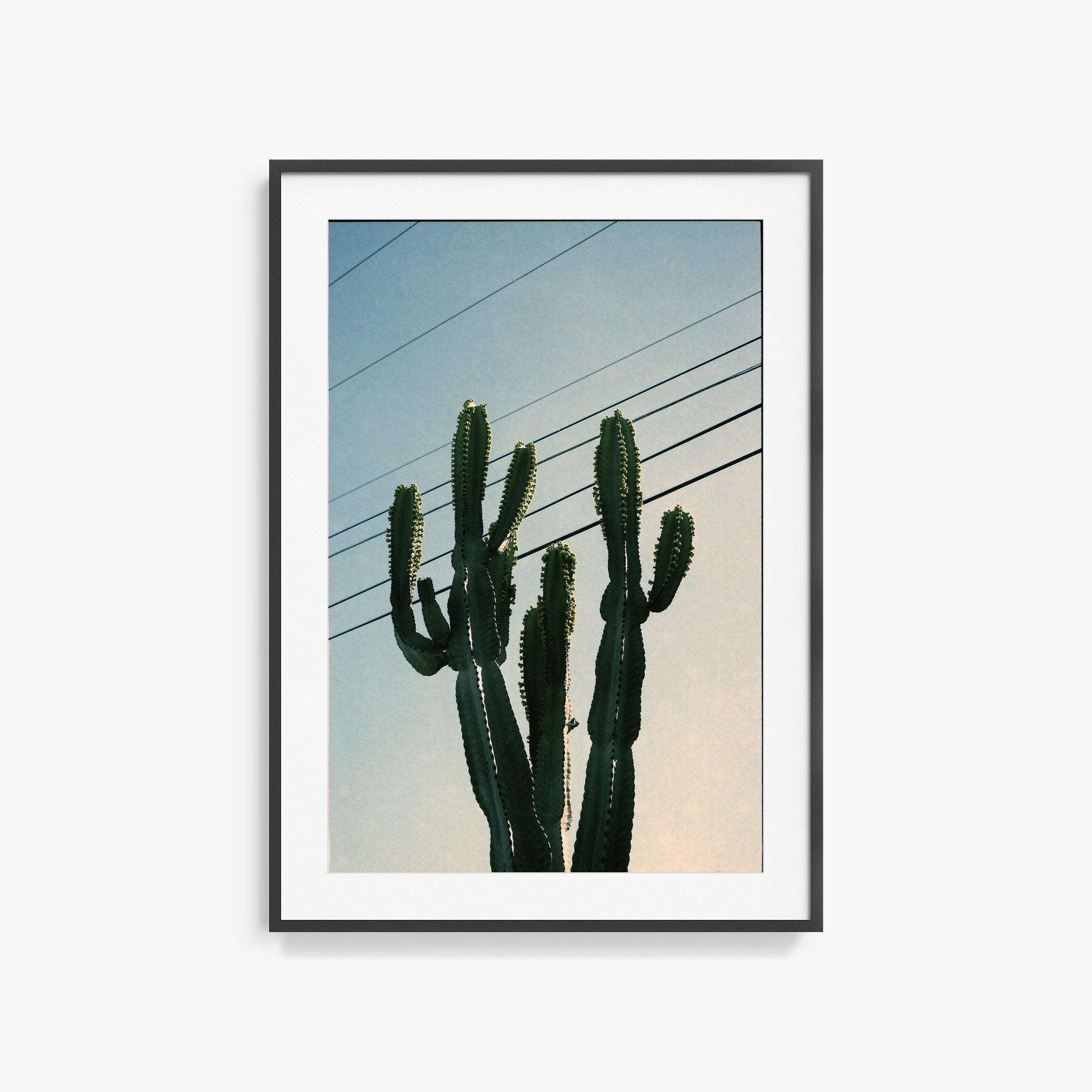Photography by Isaac Zoller