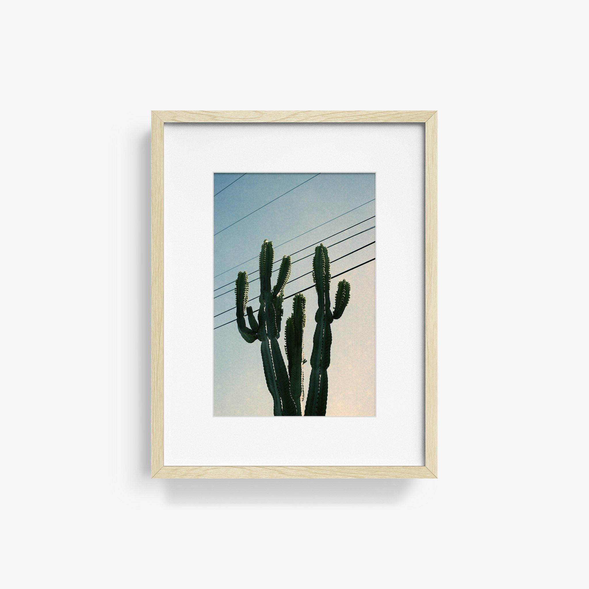 Photography by Isaac Zoller