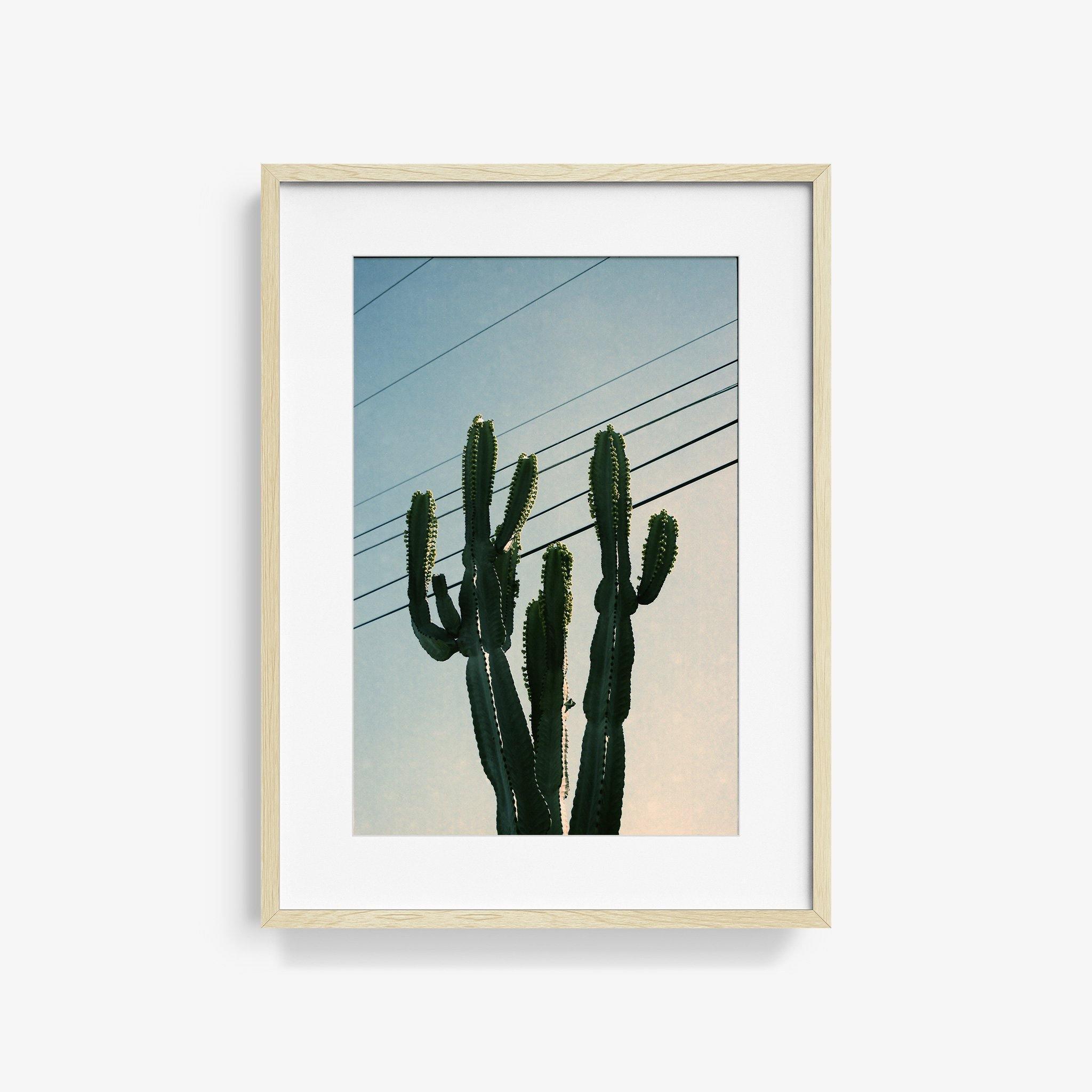 Photography by Isaac Zoller