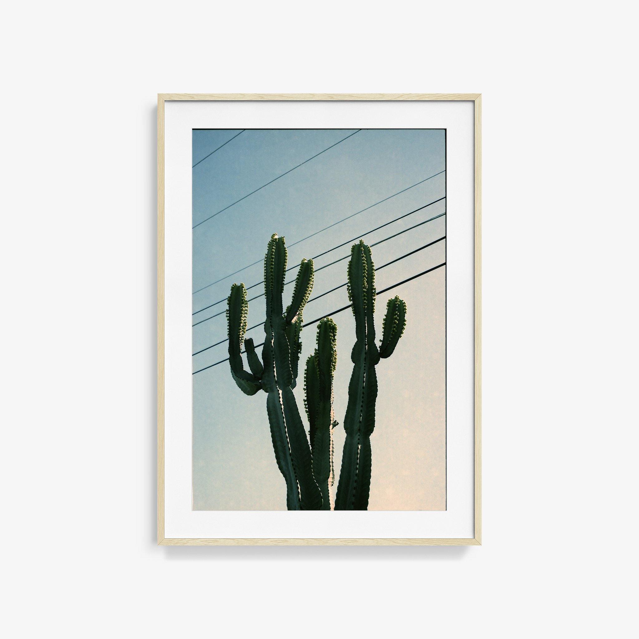 Photography by Isaac Zoller