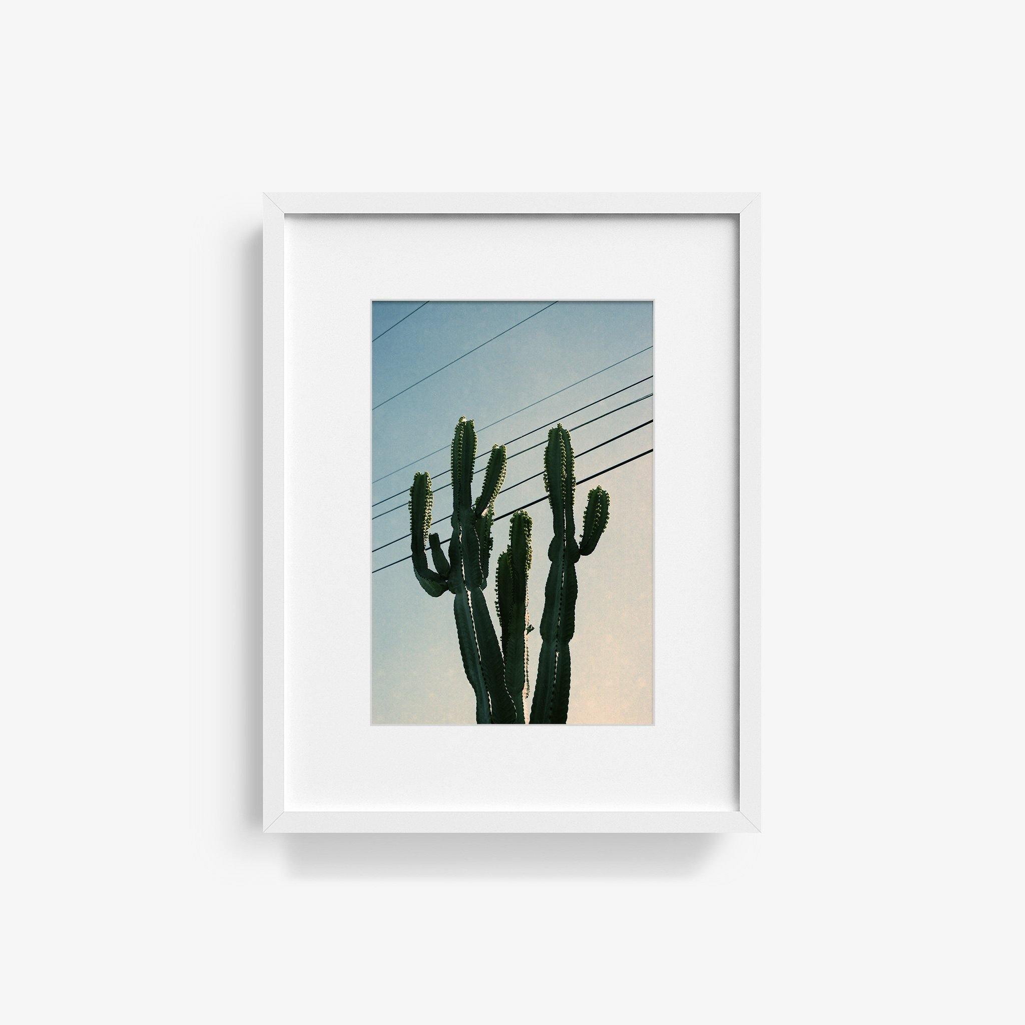 Photography by Isaac Zoller