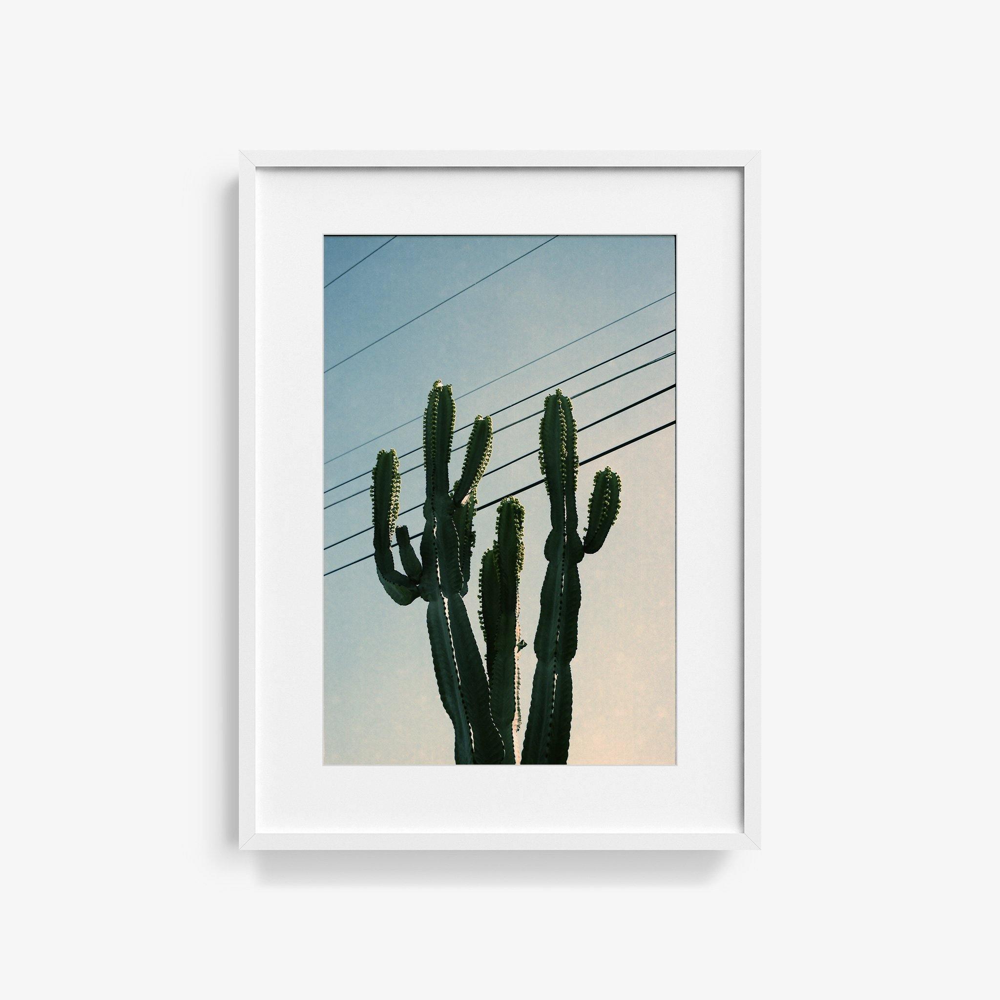 Photography by Isaac Zoller
