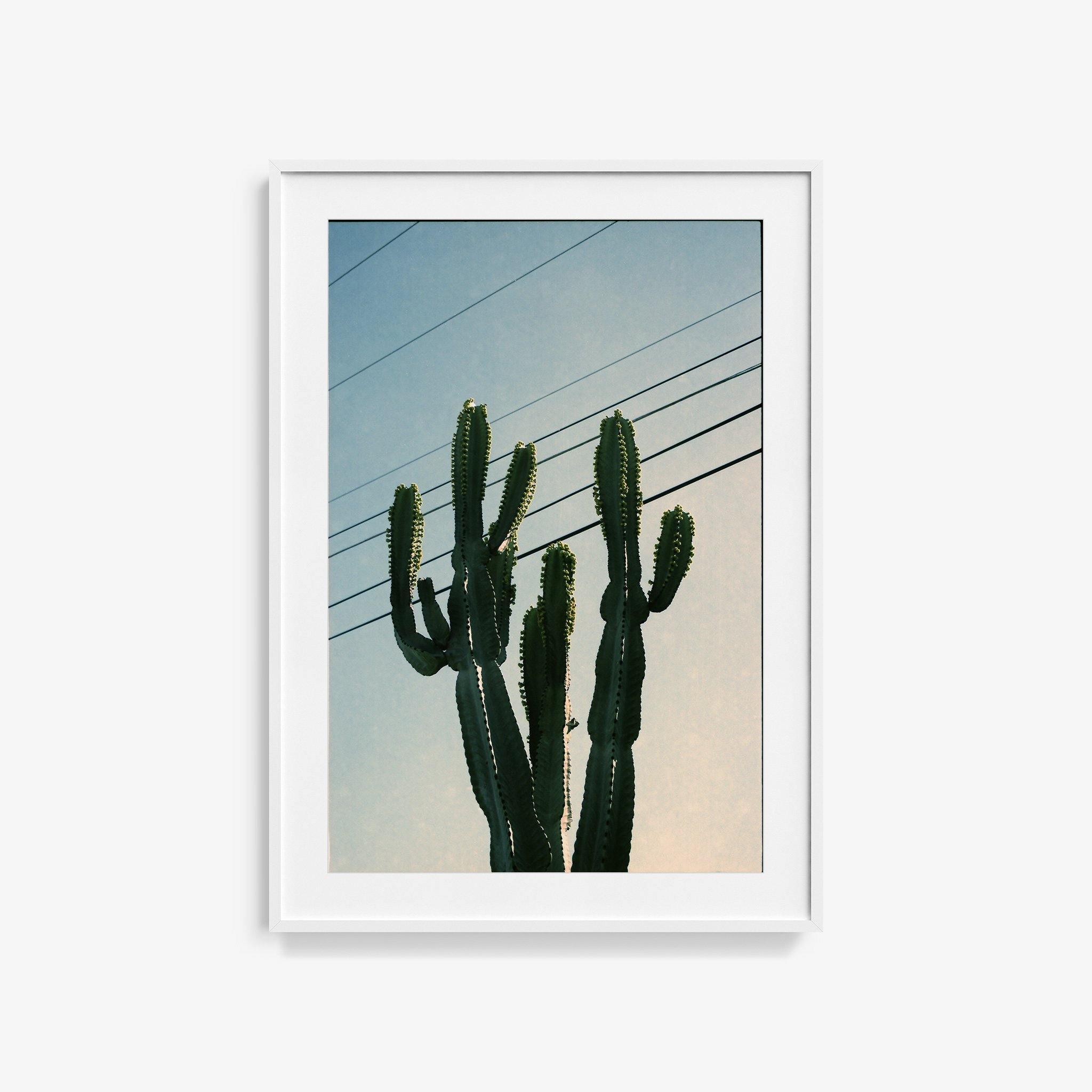 Photography by Isaac Zoller