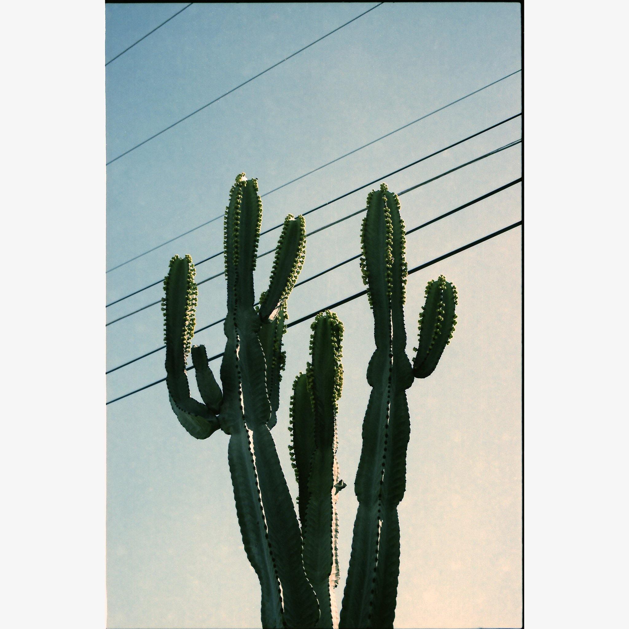 Photography by Isaac Zoller