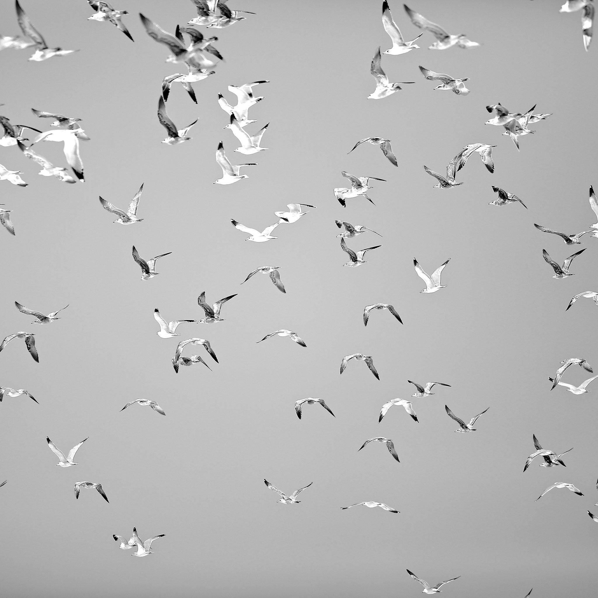 Photograph by Isaac Zoller
