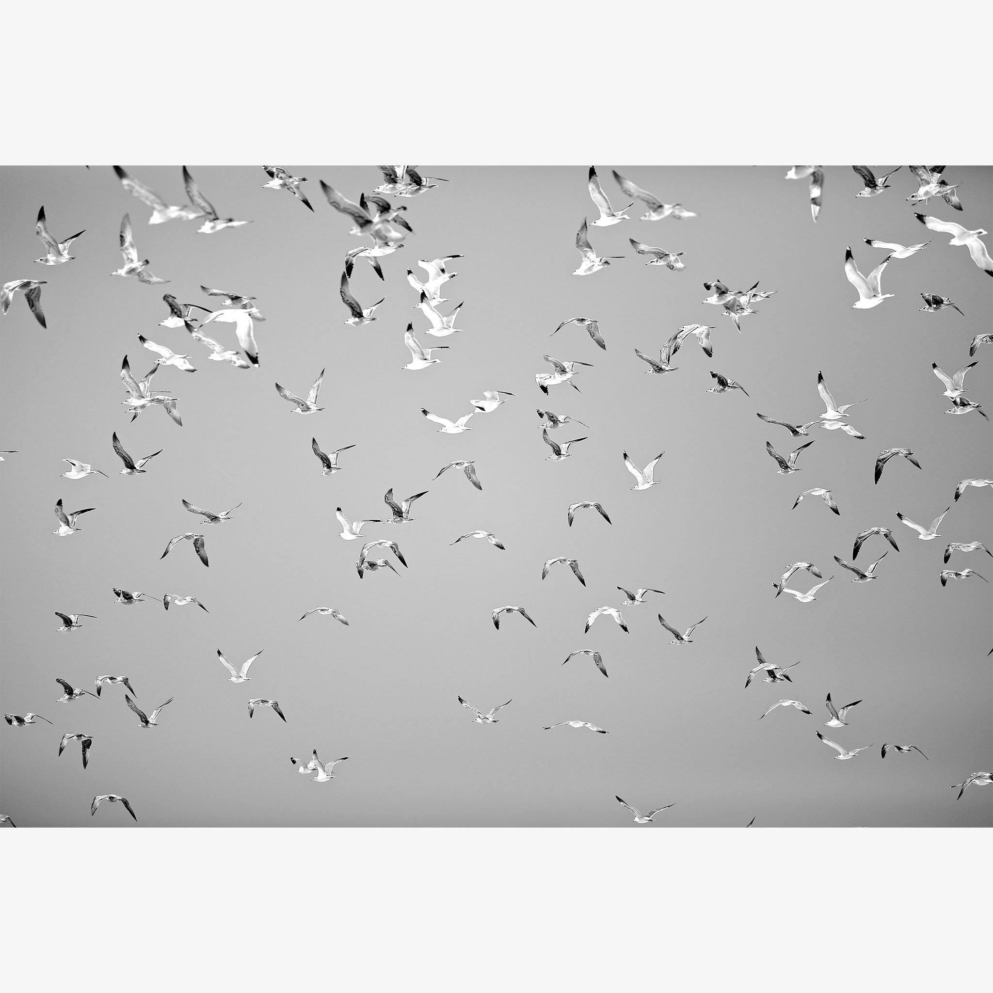 Photograph by Isaac Zoller